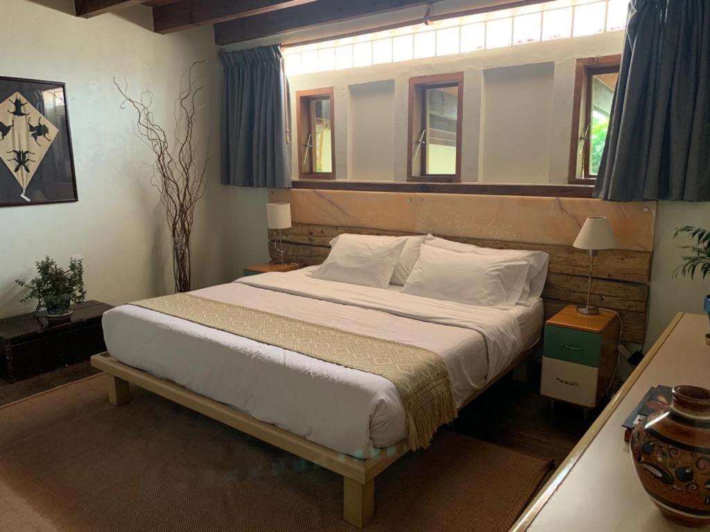Guest House Aldama メキシコシティ エクステリア 写真